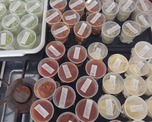 whatsapp-image-2026-08-18-at-160750-6.jpeg